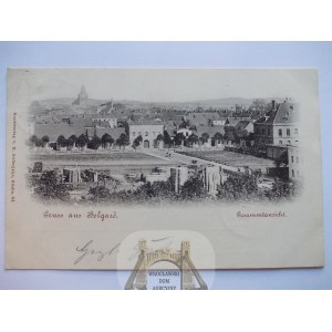 Białogard, Belgard, panorama, tartak? 1899