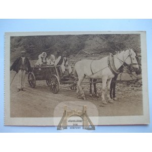 Biała Podlaska, cart, villagers, ca.1915