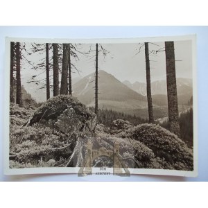 Tatra Mountains, published by Książnica Atlas, photo by Wieczorek, from the cable car route, 1938