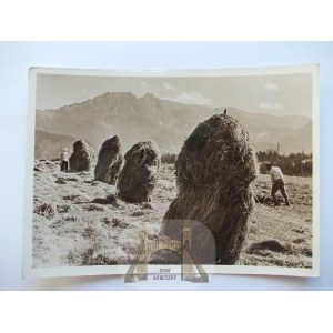 Tatra-Gebirge, herausgegeben vom Ksiaznica Atlas, Foto: Wieczorek, Heuernte in Giewont, 1938