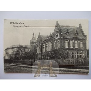 Wieliczka, Museum und Schloss, Leporello, 5 Ansichten, 1907