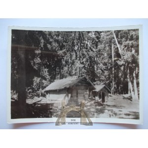 Rudnicka Forest near Vilnius, published by Książnica Atlas, photo by Bulhak, 1938, Lithuania