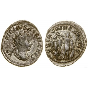 Cesarstwo Rzymskie, antoninian, 254-255, Antiochia