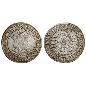 Polska, grosz, 1530, Toruń