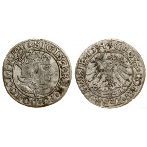 Poland, penny, 1534, Torun