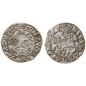 Poland, half-penny, 1556, Vilnius