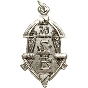 Latvia Badge (1920) SWB 30
