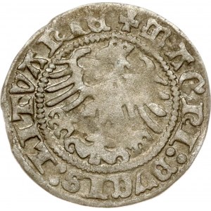 Lithuania Polgrosz 1513 Vilnius (R)