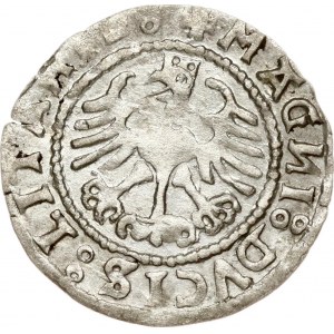 Lithuania Polgrosz 1528 Vilnius V-MONEA-LITAИIE (RRR)