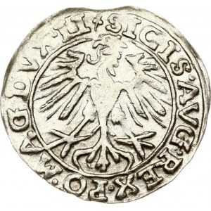 Lithuania Polgrosz 1557 Vilnius (R)