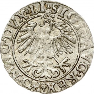 Lithuania Polgrosz 1558 Vilnius - re-engraved