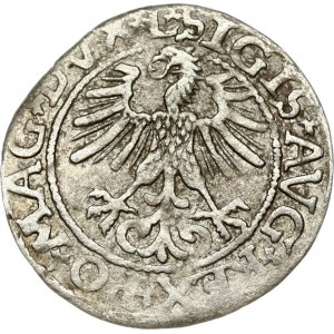 Lithuania Polgrosz 1561 Vilnius (RR) - MAGN