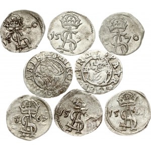 Lithuania Dwudenar (1567-1570) Vilnius & Hungary Denar 1578 & 1588 Lot of 8 Coins
