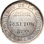 France Medal 1855/1899 Rescuer of the Gironde