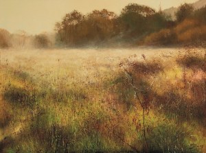 Konrad Hamada, Meadow, Cobweb, 2017 