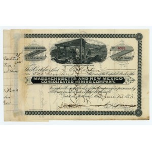 Akcja na 100 USD 1883 rok
