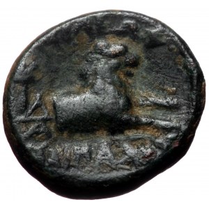 Kings of Thrace, (Macedonian), Lysimachos (305-281 BC) AE (brozne, 2,79 g, 14 mm)