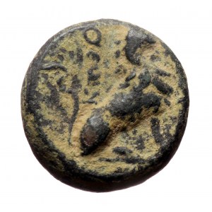 Kings of Thrace, Lysimacheia, AE (Bronze, 4.80g, 15mm) 309-220 BC