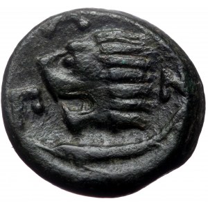 Cimmerian Bosporos, Pantikapaion AE (Bronze, 20mm, 6.83g) ca 310-304/3 BC.