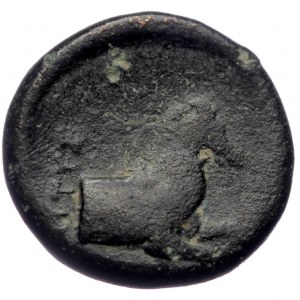 Ionia, Kolophon, AE chalkous (Bronze, 2.36g, 13mm), 4th - beginning of 3rd century BC.