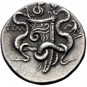 Lydia, Tralleis, AR cistophoric tetradrachm (Silver, 27,5 mm, 12,61 g), ca. 167-166 BC. Obv: Cista mystica from which sn