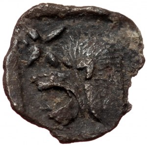 Mysia, Kyzikos, AR Hemiobol (silver, 0,36 g, 9 mm) c. 450-400 BC Obv: Forepart of running boar left, tunny fish swimming