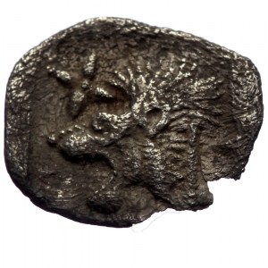 Mysia, Cyzicus, AR hemiobol (Silver, 10,0 mm, 0,30 g), 5th century BC.
