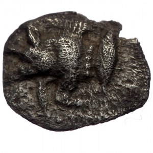 Mysia, Cyzicus, AR hemiobol (Silver, 10,0 mm, 0,30 g), 5th century BC.