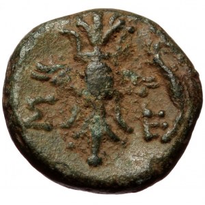 Pisidia, Selge, AE13 (bronze, 3,00 g, 13 mm) 2.-1. cent. BC Obv: Bust of Herakles to right, club over left shoulder
