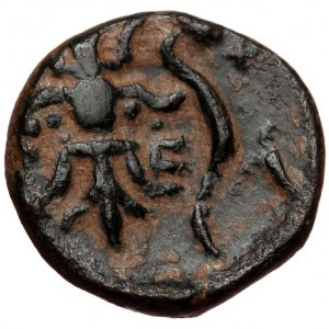 Pisidia, Selge, AE13 (bronze, 2,68 g, 13 mm) 2.-1. cent. BC Obv: Bust of Herakles to right, club over left shoulder