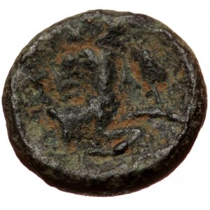 Pisidia, Selge, AE (Bronze, 12,6 mm, 2,12g), 2nd-1st centuries BC. Obv: Head of Herakles facing, turned slightly to righ