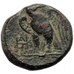 Pontos, Pharnakeia, AE (bronze, 5,14 g, 17 mm) c. 85-65 BC