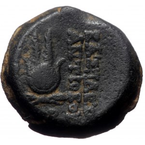 SELEUKID KINGDOM. Antiochos VII Euergetes (Sidetes) (138-129 BC). AE (Bronze, 5.82g, 18mm) Ake-Ptolemaïs. Dated SE 177 (