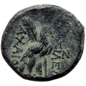 Seleukid Kingdom of Syria, Sardes, Achaios (220-214 BC) AE 21 (bronze, 6,34 g, 21 mm).