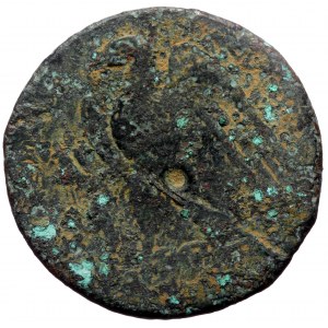 Ptolemaic Kingdom of Egypt, Ptolemy IV Philopator Æ Tetrobol (Bronze, 36mm, 41.71g) Alexandria, after 219 BC.