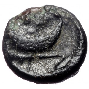 Unreaserched Asia Minor Greek AE (Bronze, 0.86g, 9mm)
