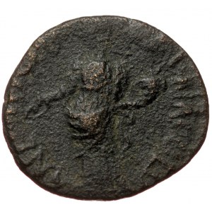 Pisidia, Antioch, AE (bronze,4,65 g, 20 mm) Caracalla (211-217) Obv: IMP CAES M AVR ANT, Laueate and draped bust right