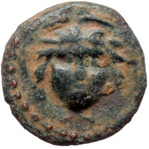 Lycaonia, Iconium AE15 (bronze, 2,67 g, 16 mm) Pseudo-autonomous issue, time of the Flavians, circa AD 69-96
