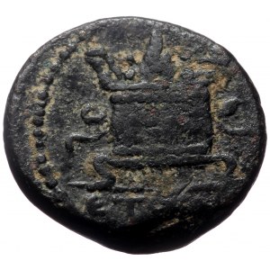 Syria, Seleucis and Pieria. Antioch. Civic coinage. AE Trichalkon (Bronze, 19mm, 5.50g). Dated Year 195(?) of the Caesar