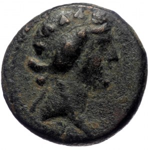 Seleucis & Pieria, Apameia AE (Bronze, 9.49g, 21mm) 1st century BC, Dated SE 284 (29/8 BC)