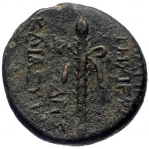 Seleucis & Pieria, Apameia AE (Bronze, 9.49g, 21mm) 1st century BC, Dated SE 284 (29/8 BC)