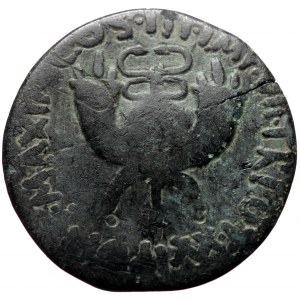 Syria, Commagene, uncertain mint, AE30 (Bronze, 11.00g, 30mm) Tiberius (A.D. 14-37) Issue AD 19/20