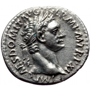 Domitian (81-96) AR Denarius (Silver, 3.12g, 19mm) Rome.
