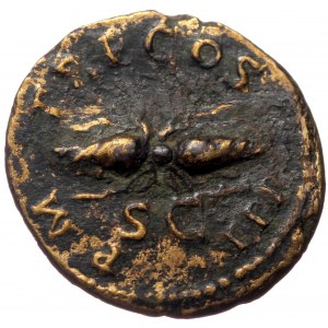Hadrian (117-138) AE Quadrans (Bronze 3,04g, 19mm) Rome,128-129