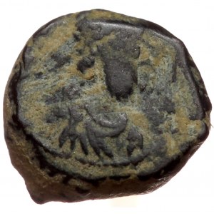 Anastasius I (491-518), AE nummus (Bronze, 9,5 mm, 1,13 g), Constantinople, 491-498. Obv: Diademed, draped and cuirassed