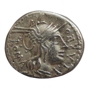 Quintus Fabius Labeo, denár 124 př.Kr. , denár 124 př.Kr., hlava Romy v přílbě / Jupiter v quadrize, pod koni lodní příď