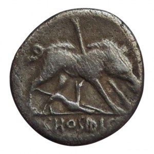 Caius Hosidius C.F.Geta, 68 př.Kr., denár Diana, toulec s lukem, III. VIR - GETA /Divočák zasažený šípem, dole útočící pes. C.HOSIDI C.F. 3,43 g, popisný štítek