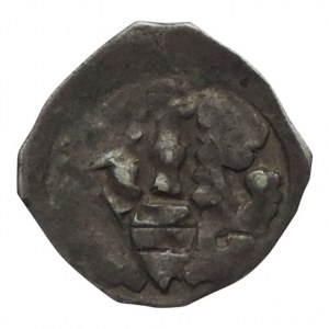 Albrecht I. 1282-1308, fenik CNA B 192, Luschin 94, rub nevyražen