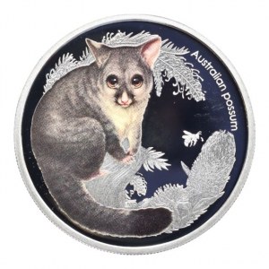 Austrálie, 50 cent 2013 Australian Bush Babies II: Possum, 15.591g, čtvercová kapsle