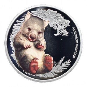 Austrálie, 50 cent 2013 Australian Bush Babies II: Wombat, Ag999, 15.591g, čtvercová kapsle